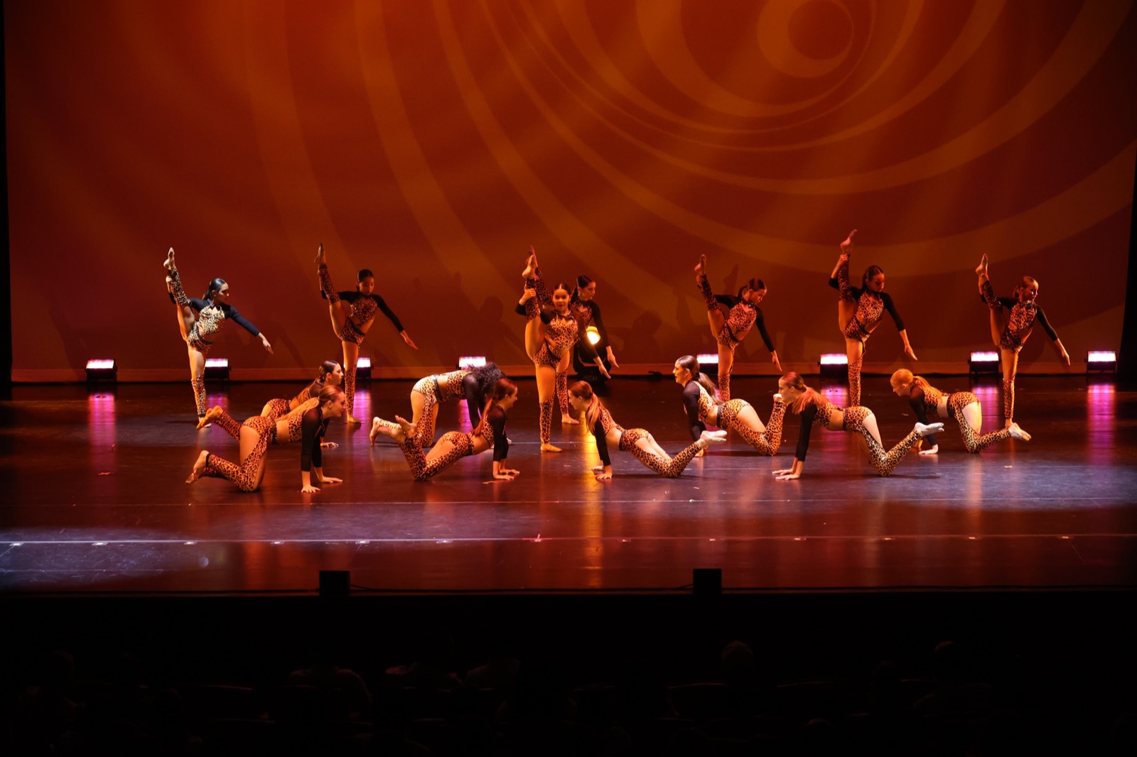 Recital performance capture